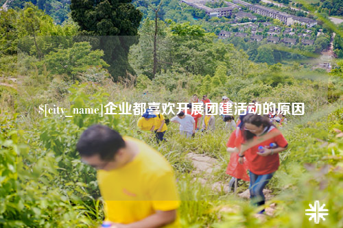 西双版纳企业都喜欢开展团建活动的原因